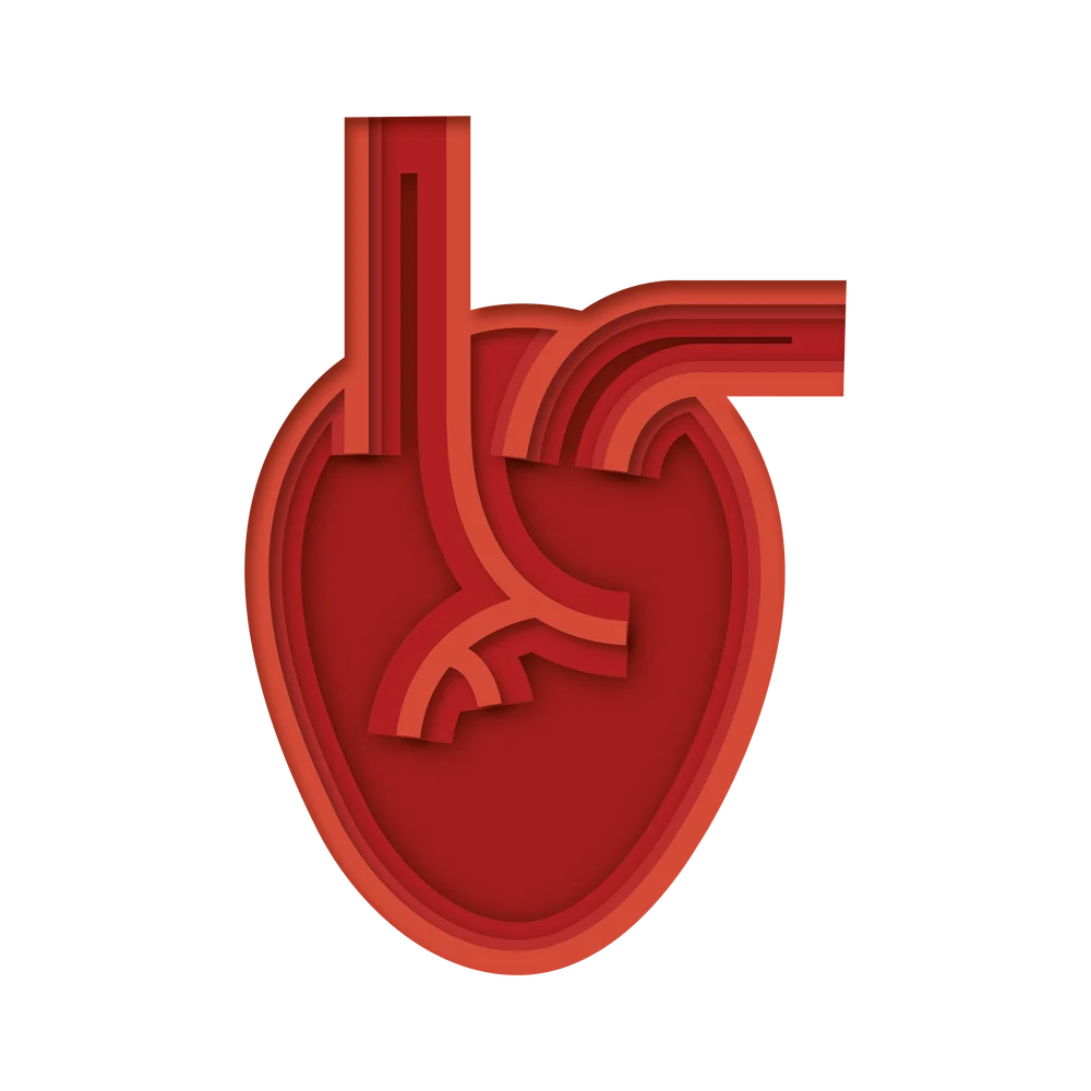 Stilisiertes Herz – Symbol für unsere kardiale CT-Diagnostik.